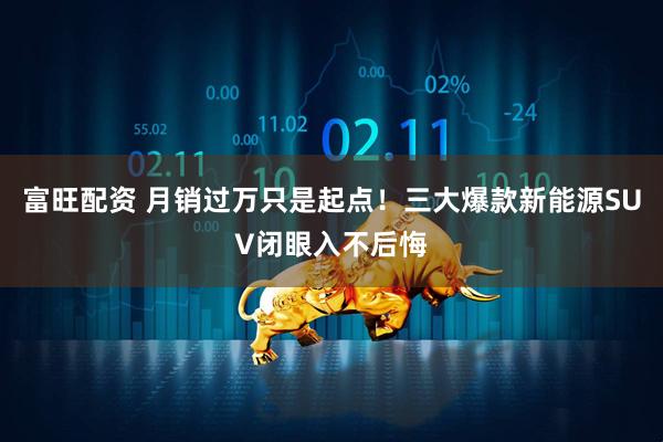 富旺配资 月销过万只是起点！三大爆款新能源SUV闭眼入不后悔