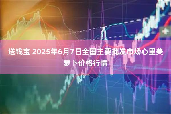 送钱宝 2025年6月7日全国主要批发市场心里美萝卜价格行情