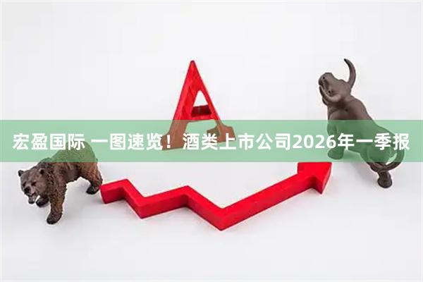 宏盈国际 一图速览！酒类上市公司2026年一季报
